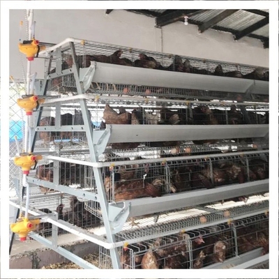 Full Automatic Type A 96 Birds 3 Rows Layer Poultry Farm Battery Chicken Cage With Automatic Nipple Drinker In Kenya